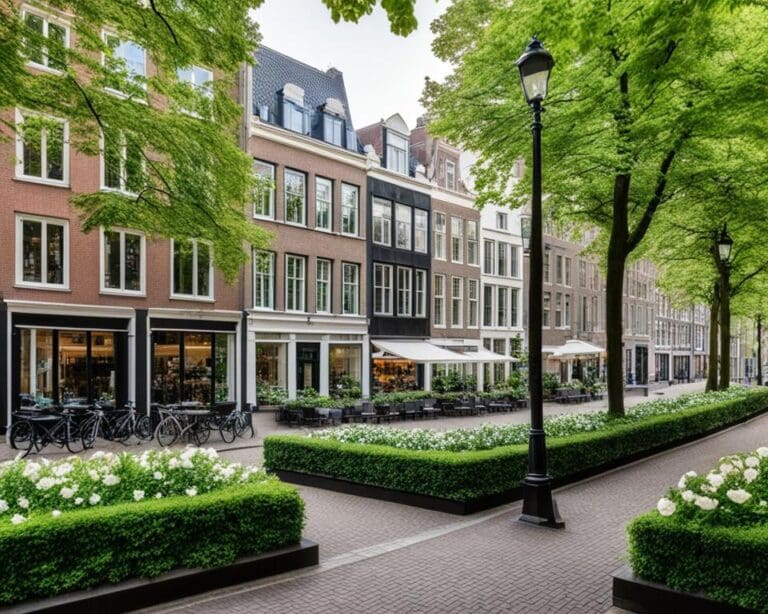 Mooiste deel in Den Haag om te wonen